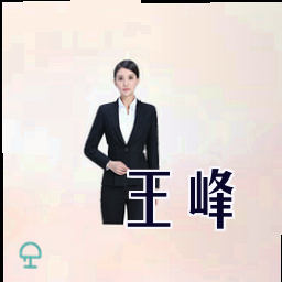王峰